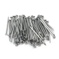 Common / Bulk Nails 1